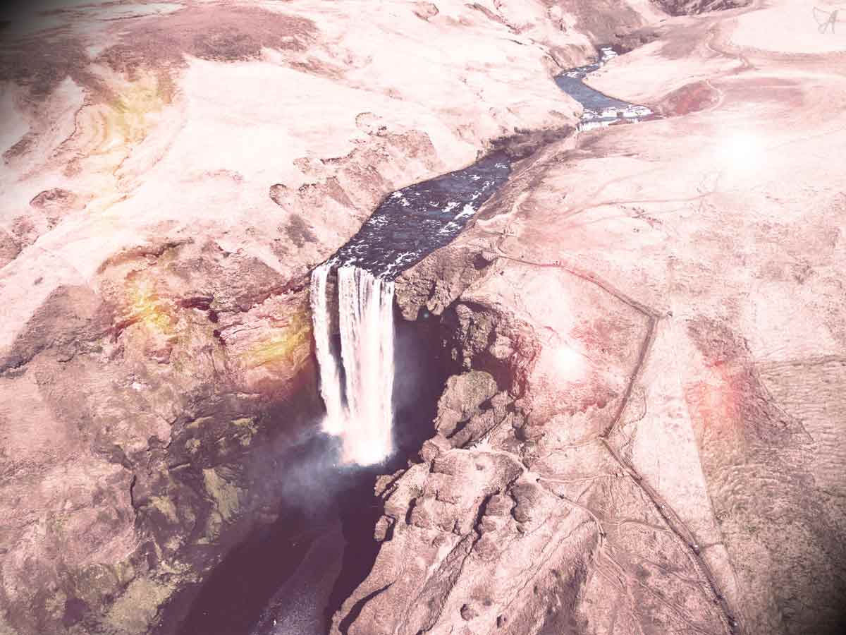 Practical detox guide: The kidneys